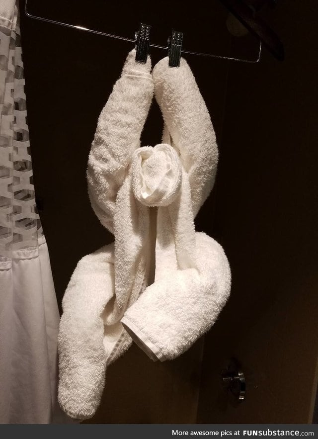 Hotel has a cute little towel sloth