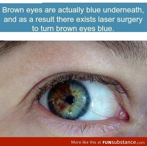 Brown eyes are actually blue