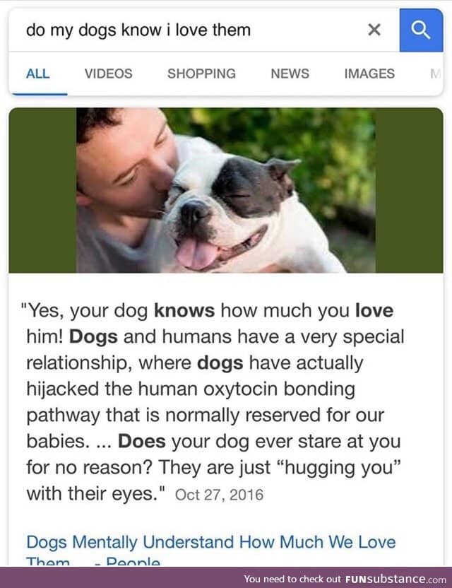 Dogs know love