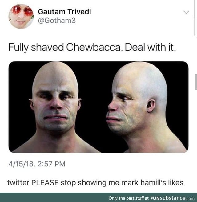 Fully shaved Chewbacca