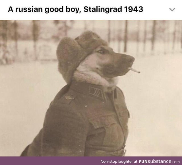 Woof but in russian