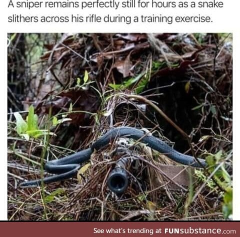 A professinal sniper