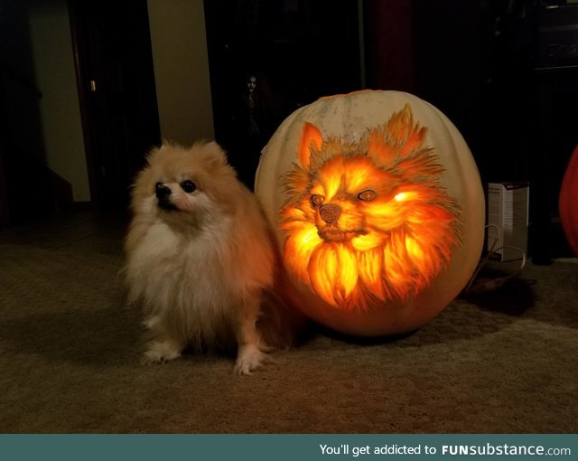 A dog-o-lantern!