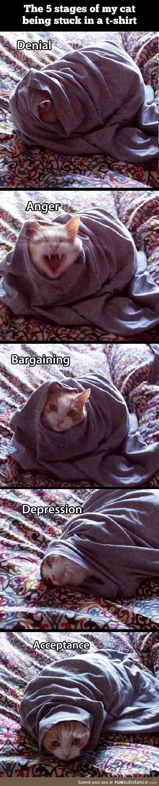Five stages of a cat stuck in a t-shirt