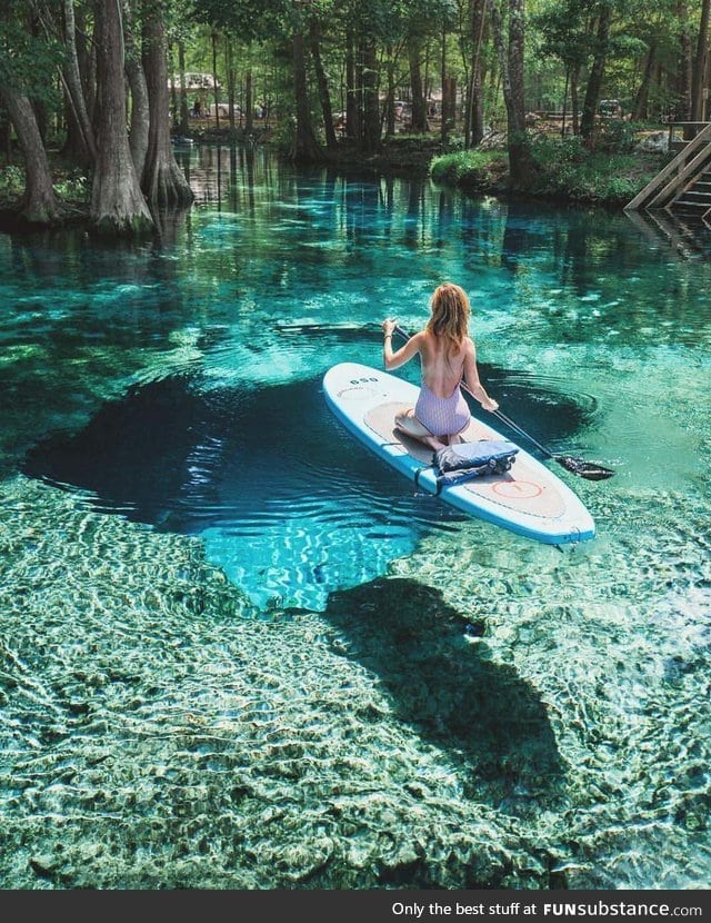 Ginnie Springs in Florida