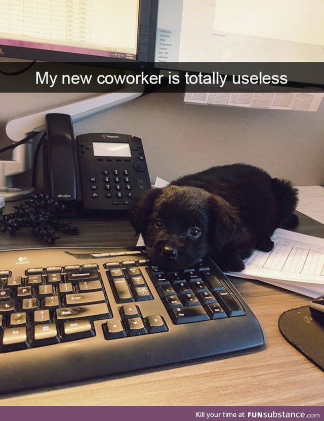 Cute coworker