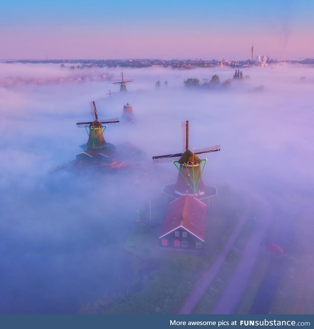 Magic morning in the Netherlands with windmills rising from the fog