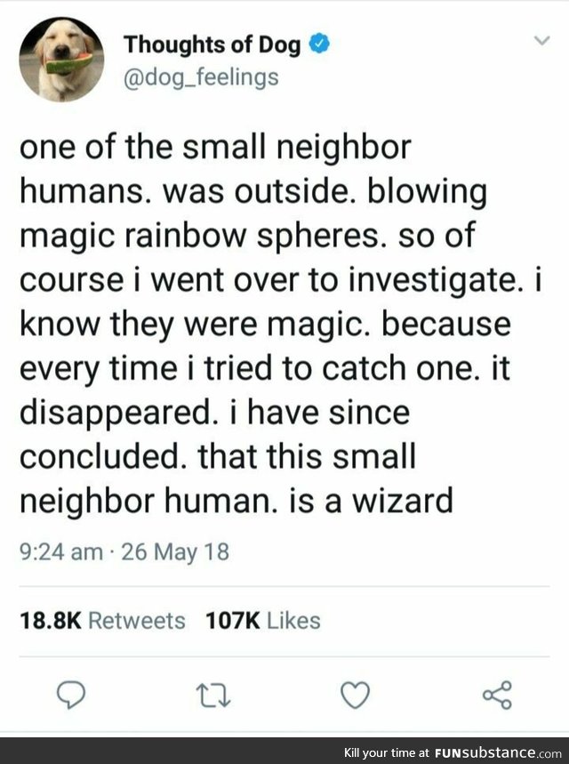 Human does magic
