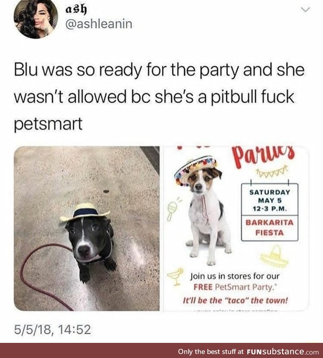 Dog discrimination
