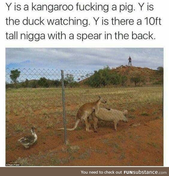 Just Australian things