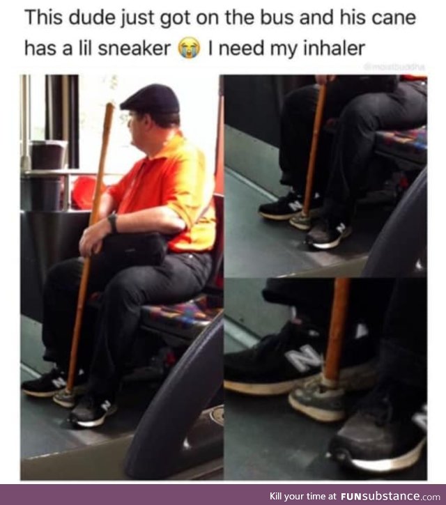 Sneaker cane