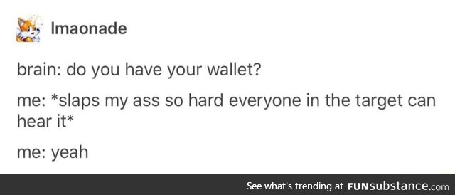 My big fat wallet