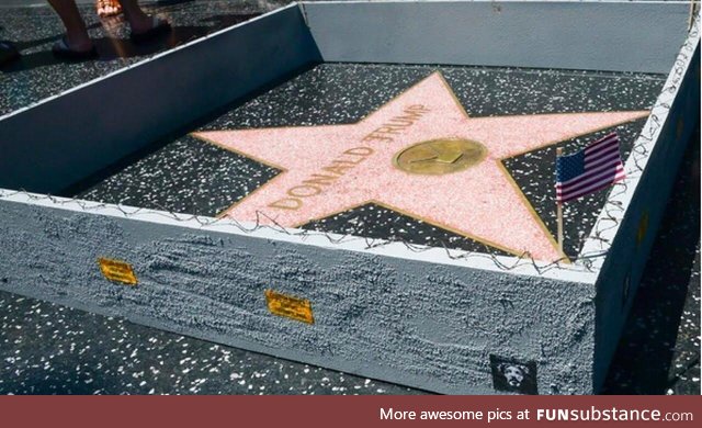 Man builds tiny wall around Trump’s Hollywood star
