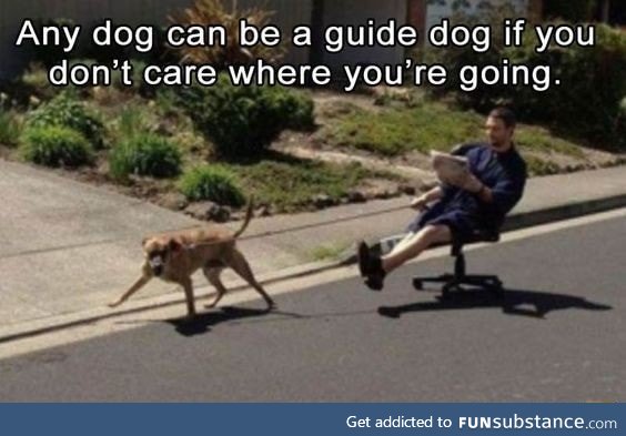 Automatic guide dog
