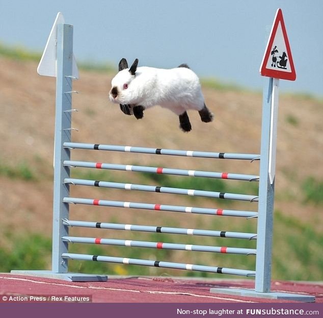Kaninhop A.K.A. Swedish rabbit jumping