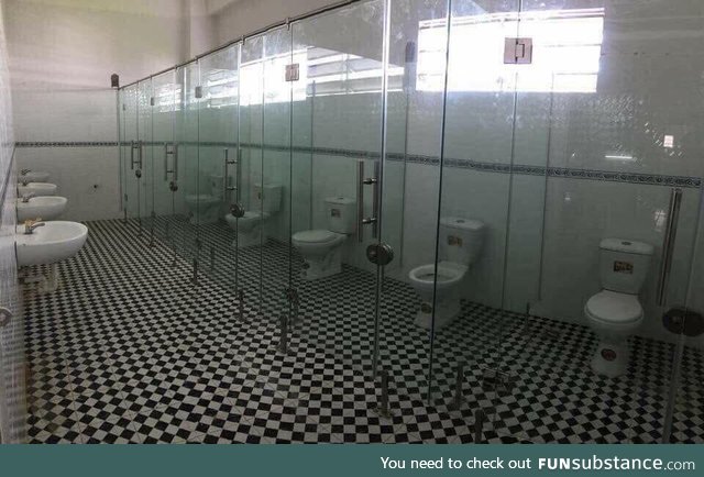 Glass toilet doors