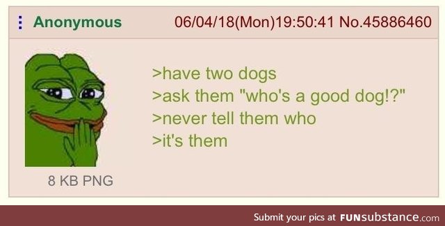 Anon has two dogs