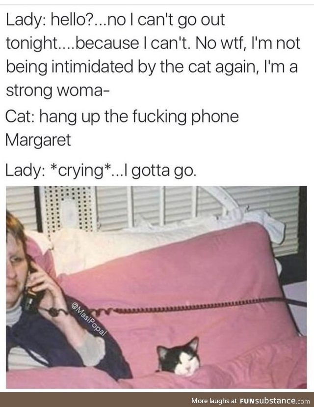 But it's a cat though