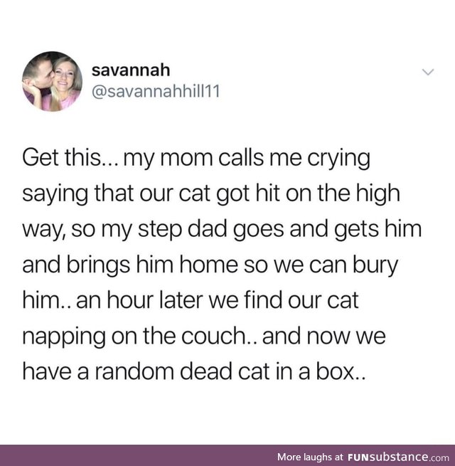 Can't even identify your own cat