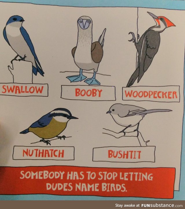 This was on a birthday card