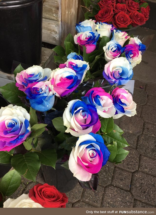 3 coloured roses