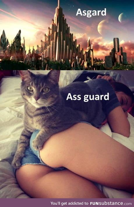 Ass guard