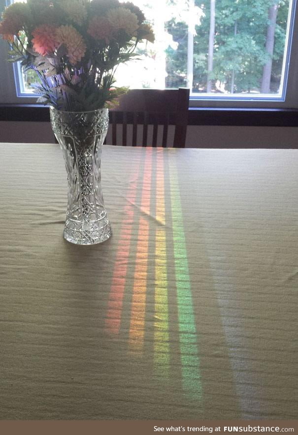 This spectrum reflected off the dining room window through a chair back
