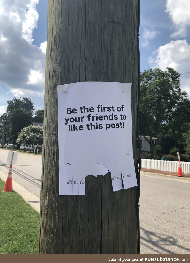 Found on a power line post