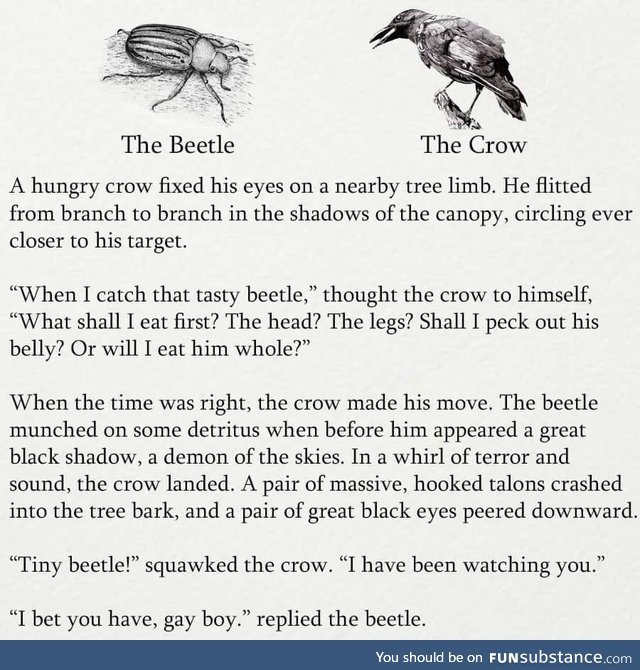 The Beetle and the Crow