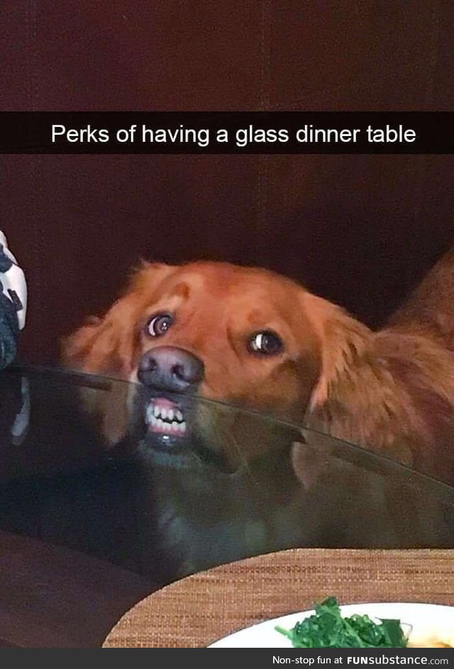 Perks of having a glass dinner table