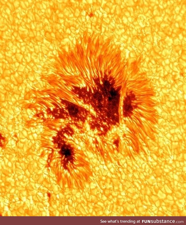 The detail in this sun spot photo is amazing