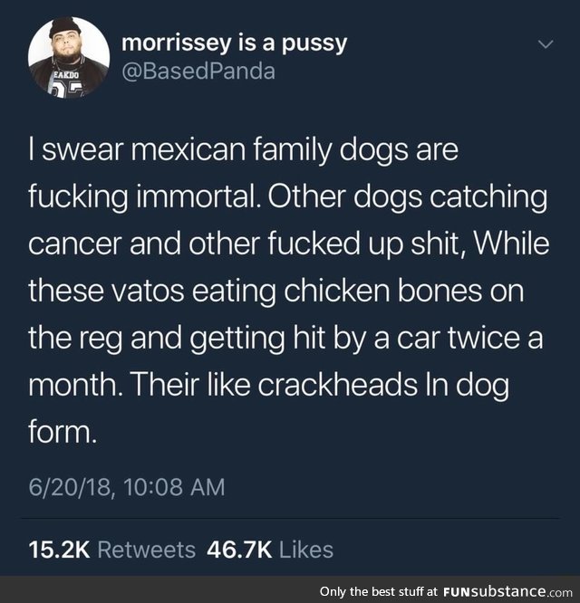 Immortal dogs