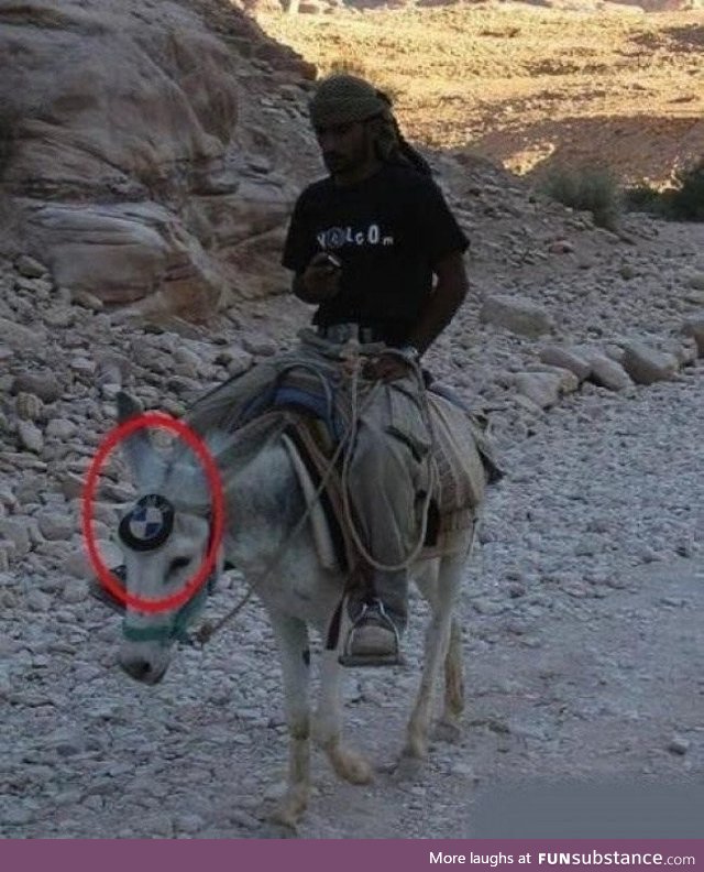 BMW launched donkeys as well. LOL!!