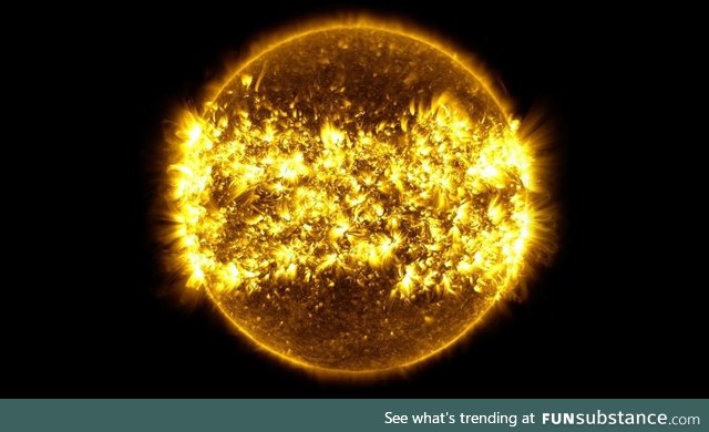 A Year's Worth of Solar Activity in One Picture