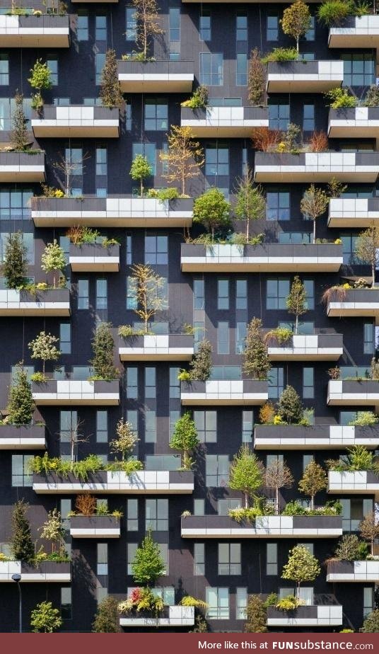 Trees adorn the balconies of this residential tower in Milan