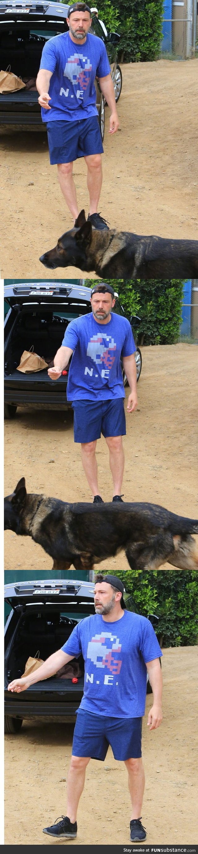 Ben Affleck being ignored by his own dog