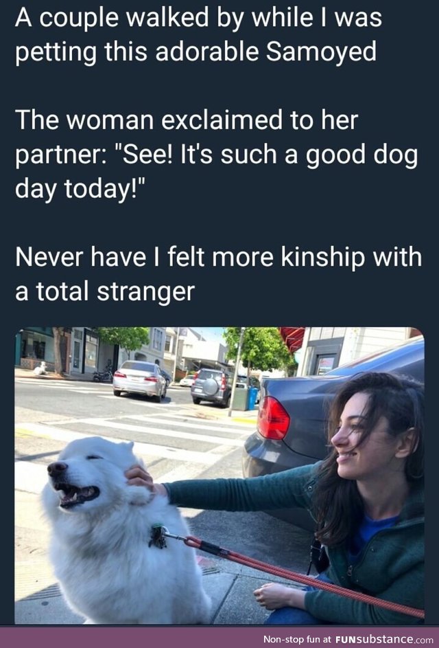 Such a good dog