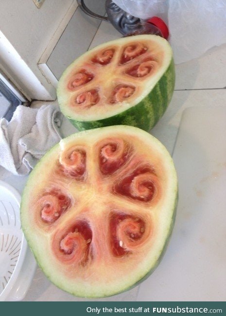 Spirals in watermelons are a sign of underwatering, not that they come from the 1500's