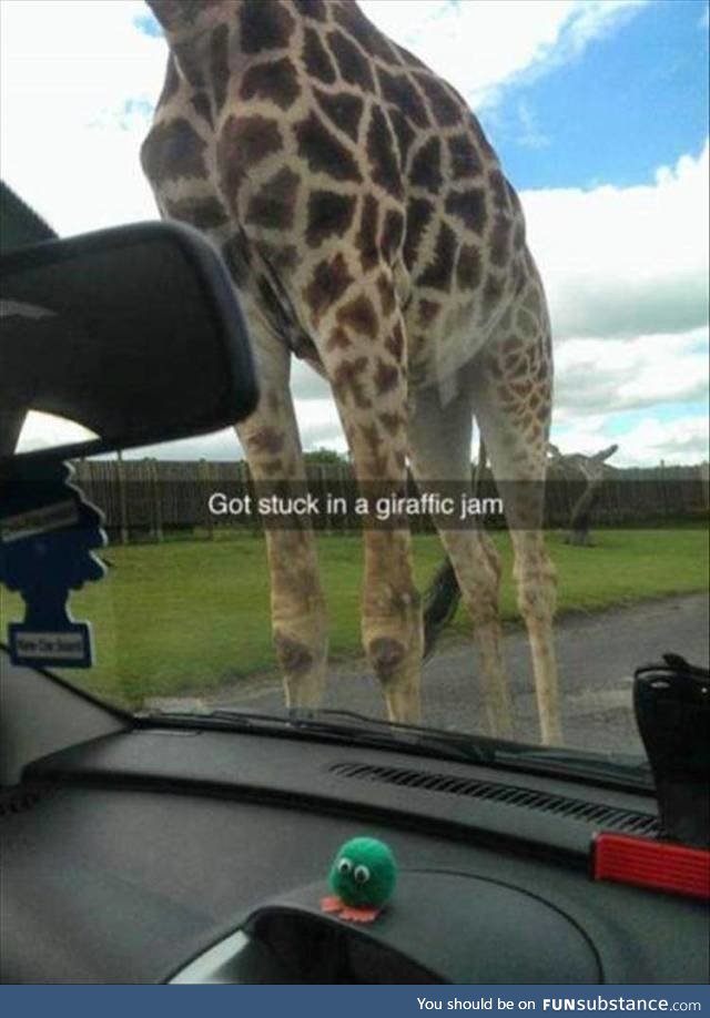 I wouldn't mind being stuck in this jam