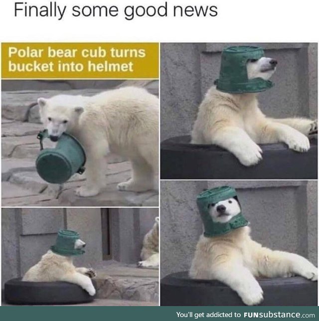 The best of news