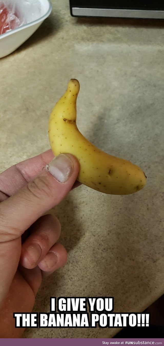 Banana Potato for scale