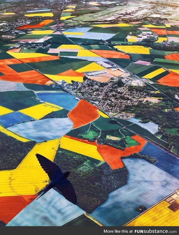 Aerial view of the Netherlands during Tulip season