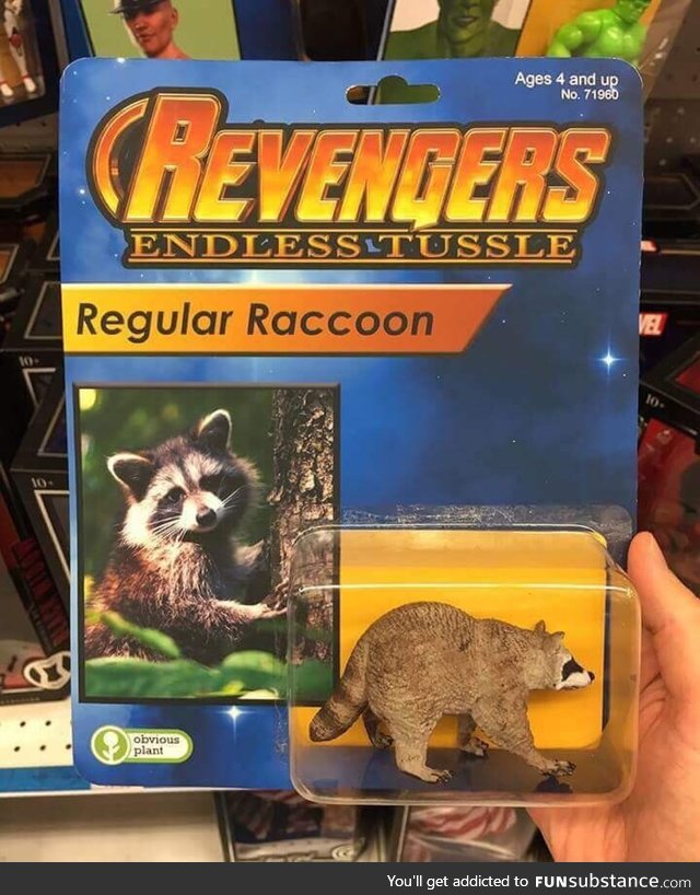 Revengers raccoon