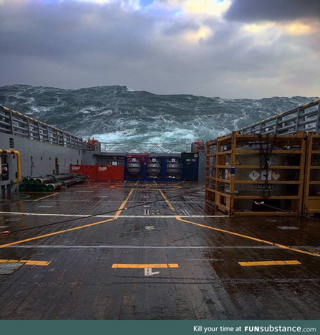 Extreme waves in the North Sea