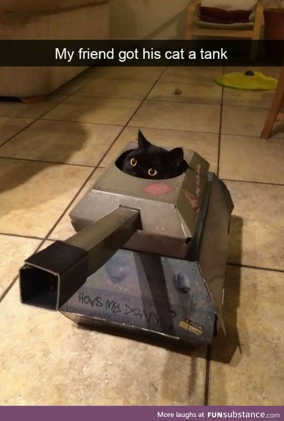 Cat got its own tank