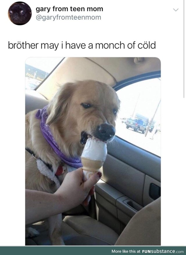Munch the cold