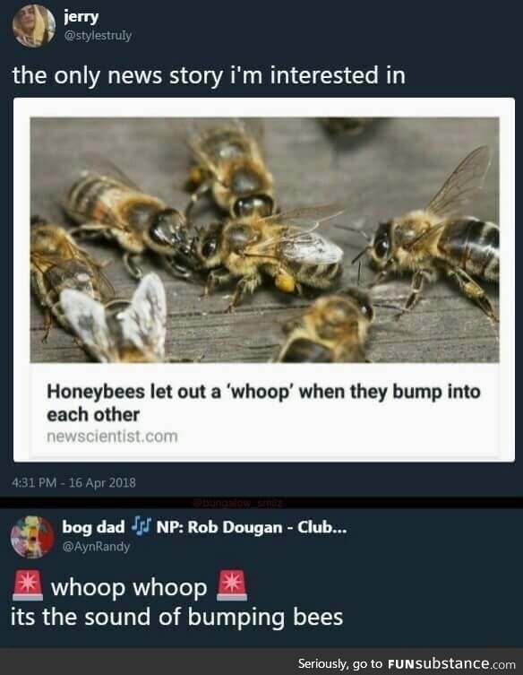 Bees are sorry
