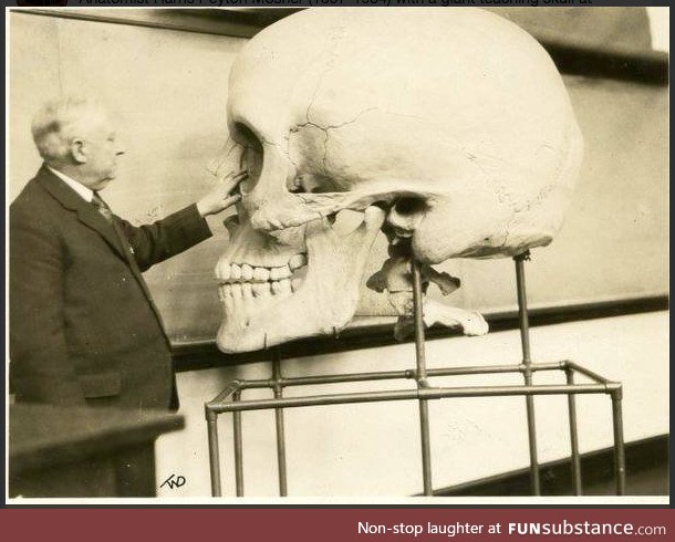 Old medical school teaching skull