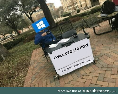 Resistance is Futile (Windows will update now)