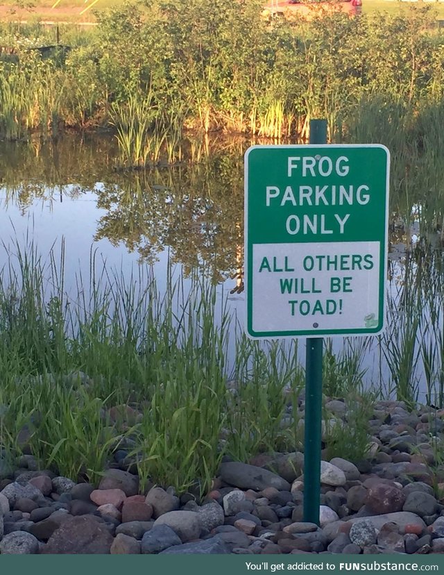 No sign of Kermit T. Frog